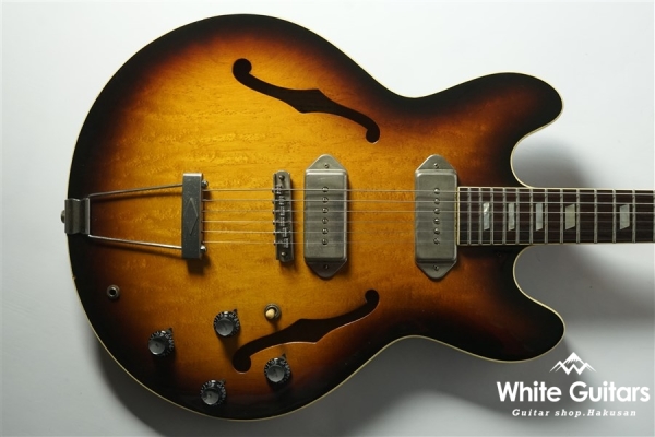 Aria Pro II CA-100-S SB